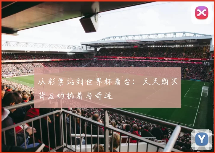 从彩票站到世界杯看台:天天购买背后的执着与奇迹