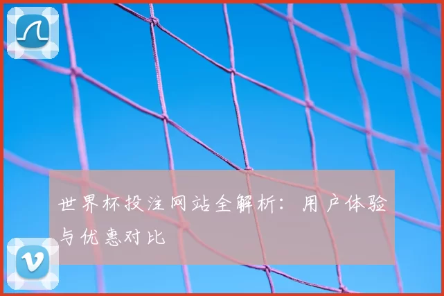 世界杯投注网站全解析：用户体验与优惠对比