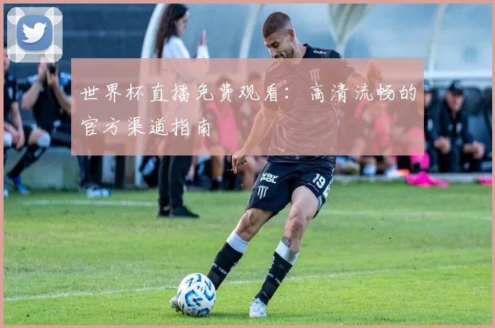 世界杯直播免费观看：高清流畅的官方渠道指南
