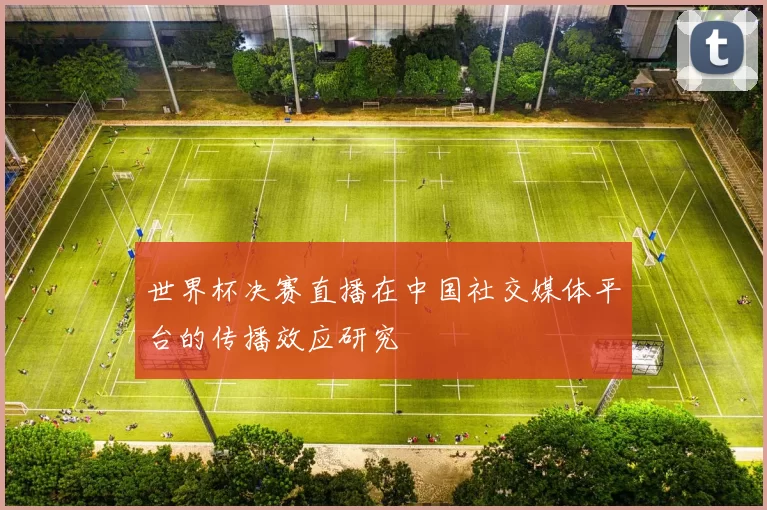 世界杯决赛直播在中国社交媒体平台的传播效应研究