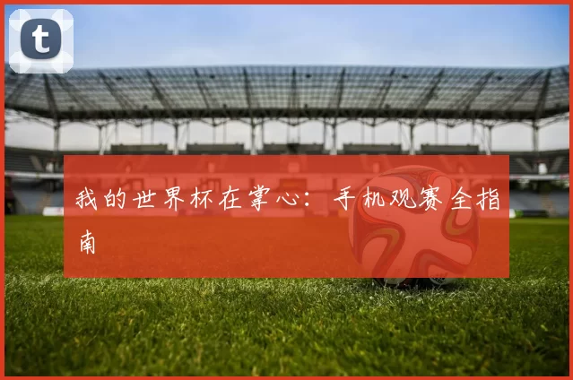 我的世界杯在掌心：手机观赛全指南