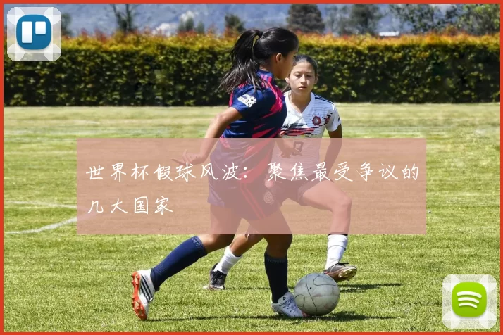 世界杯假球风波：聚焦最受争议的几大国家