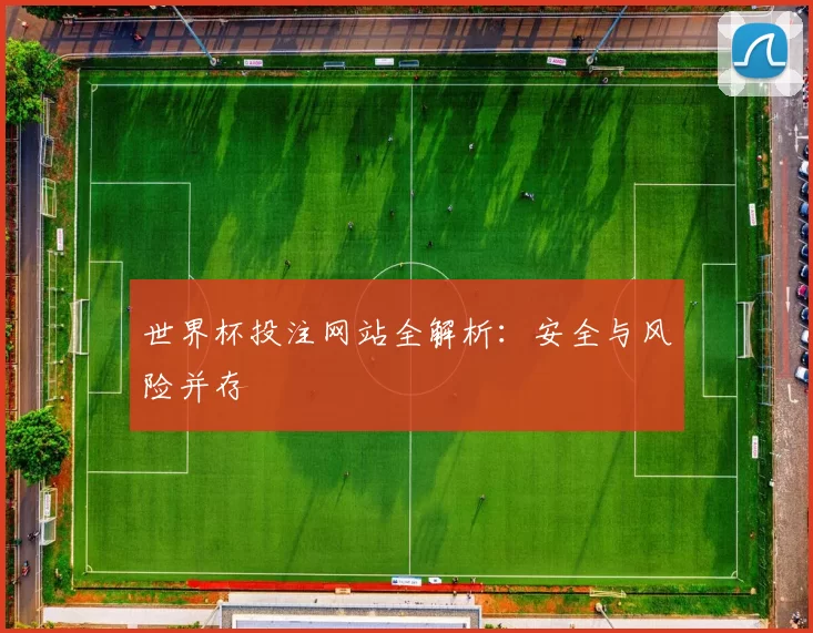 世界杯投注网站全解析:安全与风险并存