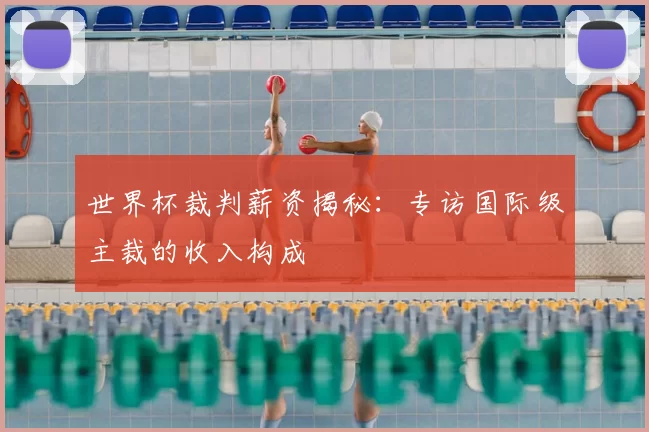 世界杯裁判薪资揭秘：专访国际级主裁的收入构成