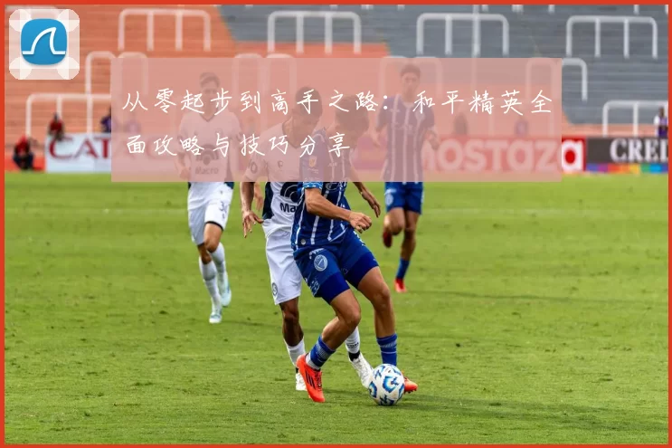 从零起步到高手之路：和平精英全面攻略与技巧分享