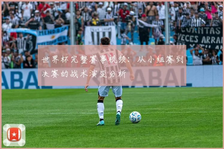 世界杯完整赛事视频：从小组赛到决赛的战术演变分析