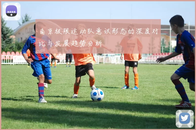南京极限运动队意识形态的深度对比与发展趋势分析