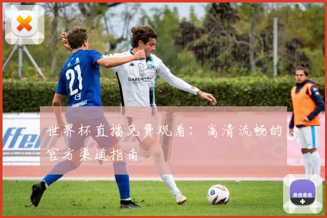 世界杯直播免费观看:高清流畅的官方渠道指南