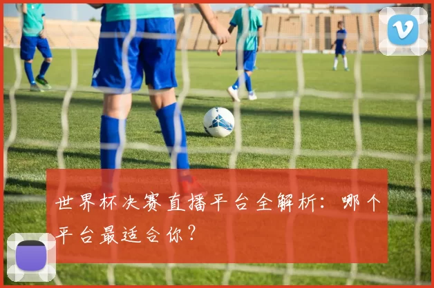 世界杯决赛直播平台全解析:哪个平台最适合你?