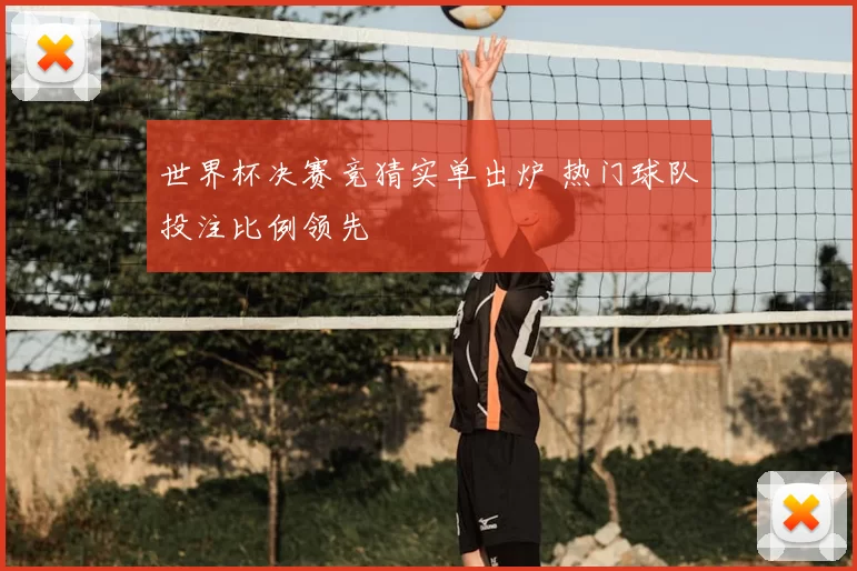 世界杯决赛竞猜实单出炉 热门球队投注比例领先