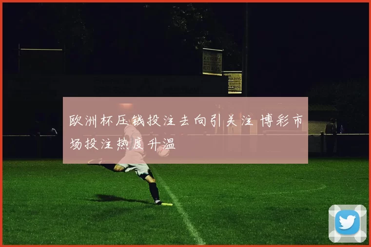 欧洲杯压钱投注去向引关注 博彩市场投注热度升温