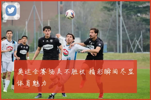 奥运会赛场美不胜收 精彩瞬间尽显体育魅力