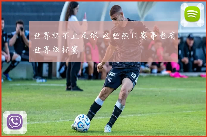 世界杯不止足球 这些热门赛事也有世界级杯赛