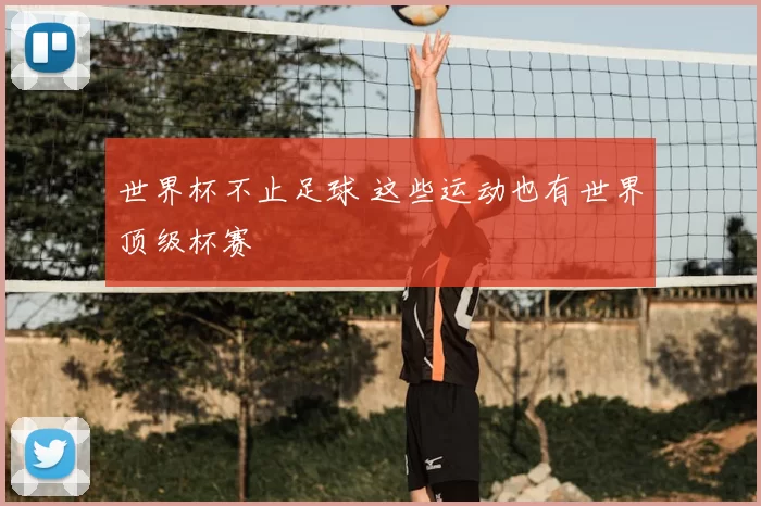 世界杯不止足球 这些运动也有世界顶级杯赛