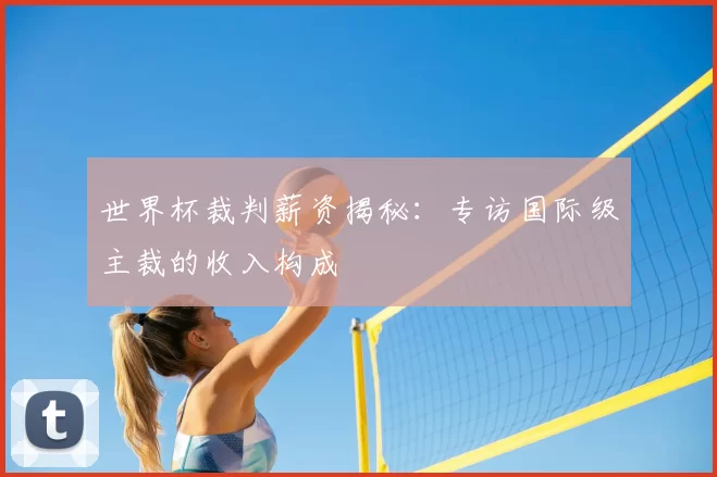 世界杯裁判薪资揭秘：专访国际级主裁的收入构成