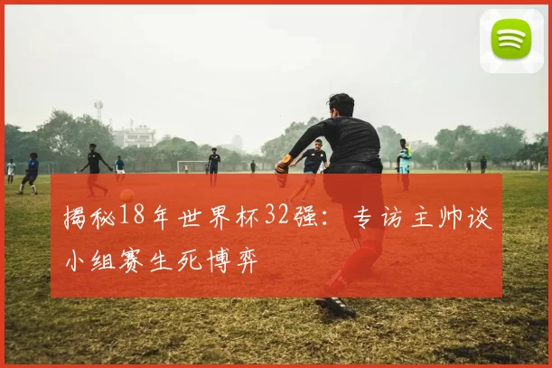 揭秘18年世界杯32强：专访主帅谈小组赛生死博弈