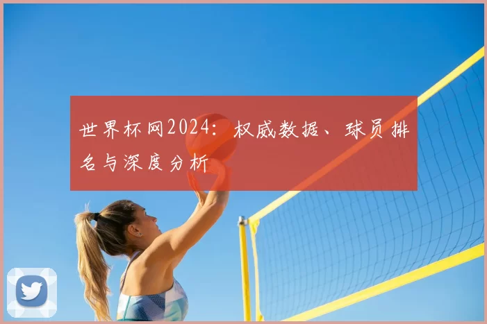 世界杯网2024：权威数据、球员排名与深度分析
