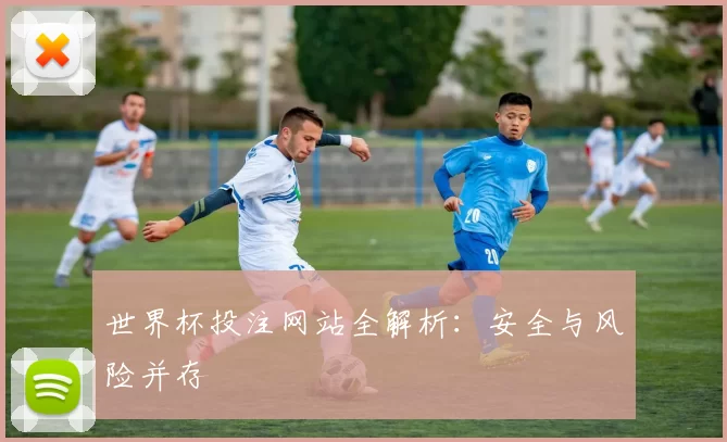 世界杯投注网站全解析:安全与风险并存