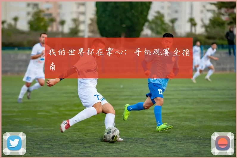 我的世界杯在掌心：手机观赛全指南