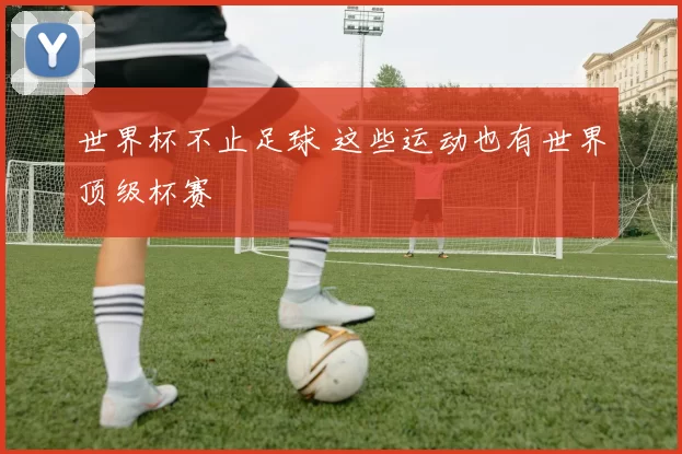 世界杯不止足球 这些运动也有世界顶级杯赛